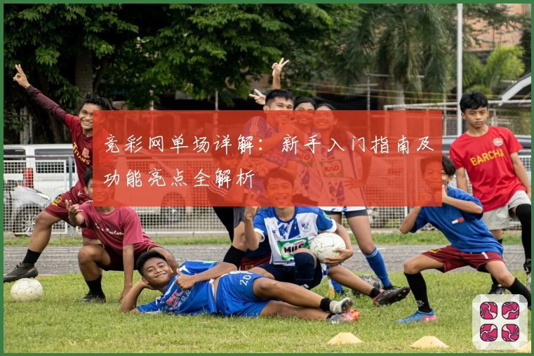 竞彩网单场详解：新手入门指南及功能亮点全解析