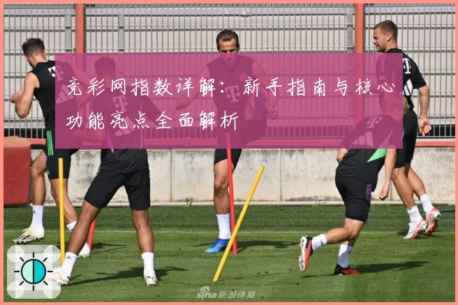 竞彩网指数详解：新手指南与核心功能亮点全面解析