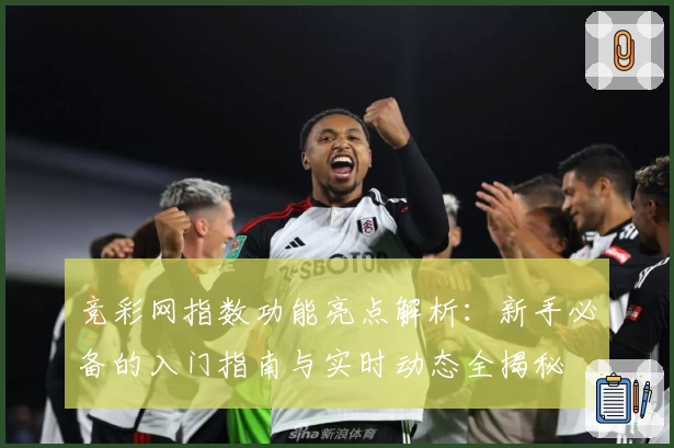 竞彩网指数功能亮点解析：新手必备的入门指南与实时动态全揭秘