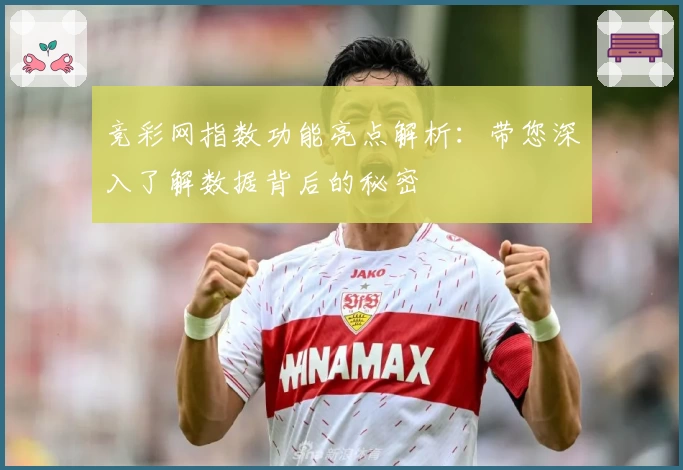 竞彩网指数功能亮点解析:带您深入了解数据背后的秘密