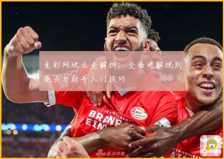 竞彩网玩法全解析：全面讲解规则亮点与新手入门技巧