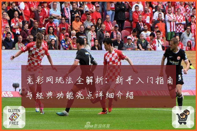 竞彩网玩法全解析：新手入门指南与经典功能亮点详细介绍